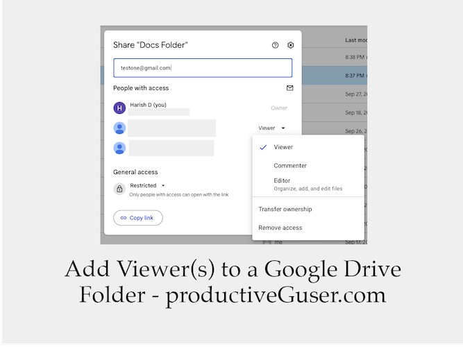 give view access to user of a google drive folder